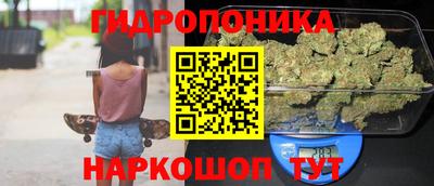 ALPHA PVP Бийск