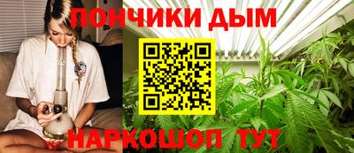 ALPHA PVP Бийск