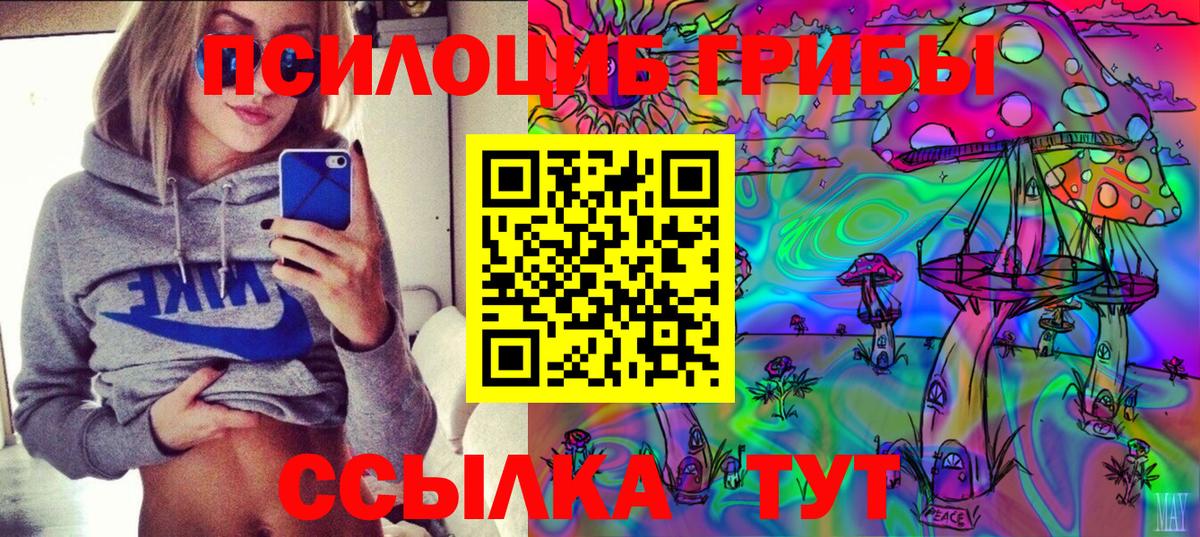 Бор  Псилоцибиновые грибы Psilocybe  Вход с VPN 