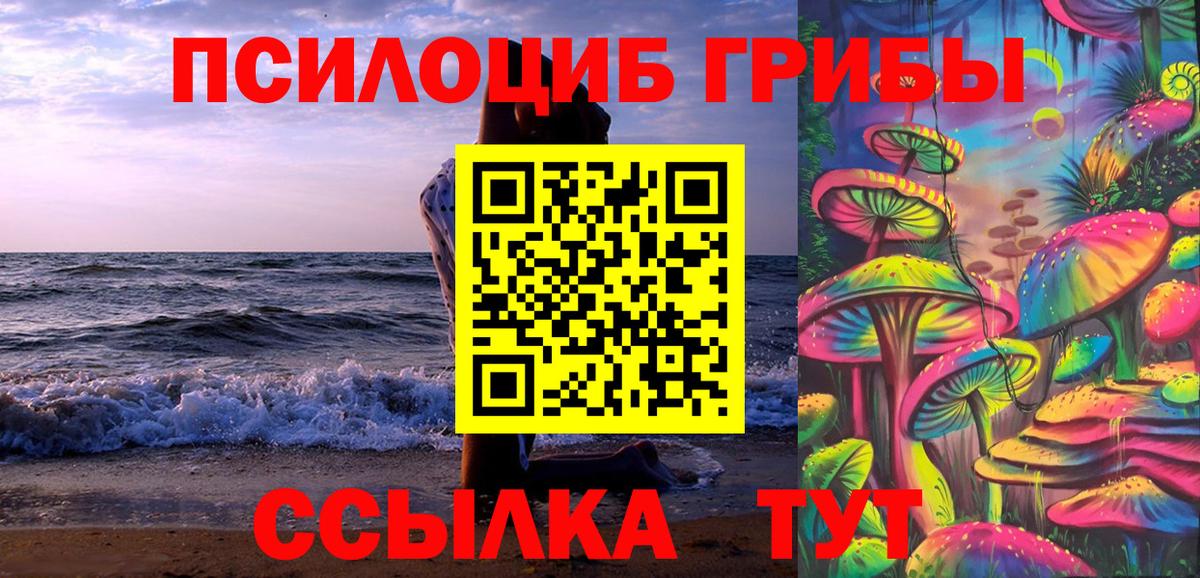 Псилоцибиновые грибы мицелий Бор