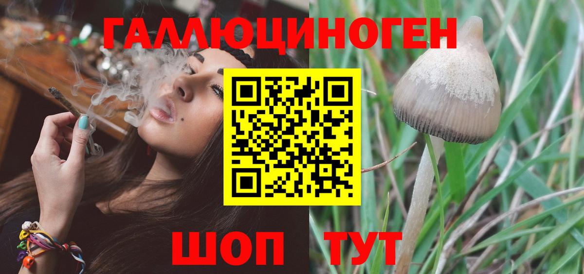 Псилоцибиновые грибы Magic Shrooms  Бор  Галлюциногенные грибы ЛСД 